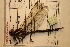  ( - NBM- 011969)  @12 [ ] Unspecified (default): All Rights Reserved  Unspecified Unspecified