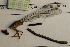  ( - NBM-014649)  @11 [ ] Unspecified (default): All Rights Reserved  Unspecified Unspecified