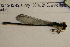  ( - NBM014820)  @12 [ ] Unspecified (default): All Rights Reserved  Unspecified Unspecified