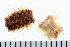  ( - HUNTSPOL0165)  @13 [ ] CreativeCommons - Attribution (2010) Unspecified Centre for Biodiversity Genomics