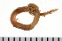  ( - HUNTSPOL0294)  @14 [ ] CreativeCommons - Attribution (2010) Unspecified Centre for Biodiversity Genomics