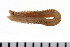  ( - HUNTSPOL0298)  @13 [ ] CreativeCommons - Attribution (2010) Unspecified Centre for Biodiversity Genomics
