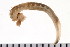 ( - HUNTSPOL0300)  @13 [ ] CreativeCommons - Attribution (2010) Unspecified Centre for Biodiversity Genomics