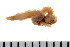  ( - HUNTSPOL0319)  @13 [ ] CreativeCommons - Attribution (2010) Unspecified Centre for Biodiversity Genomics