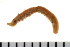  ( - HUNTSPOL0321)  @13 [ ] CreativeCommons - Attribution (2010) Unspecified Centre for Biodiversity Genomics