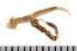  ( - HUNTSPOL0336)  @12 [ ] CreativeCommons - Attribution (2010) Unspecified Centre for Biodiversity Genomics