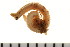  ( - HUNTSPOL0345)  @13 [ ] CreativeCommons - Attribution (2010) Unspecified Centre for Biodiversity Genomics