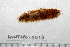  ( - HUNTSPOL0013)  @13 [ ] CreativeCommons - Attribution (2010) Unspecified Centre for Biodiversity Genomics