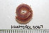  ( - HUNTSPOL0067)  @12 [ ] CreativeCommons - Attribution (2010) Unspecified Centre for Biodiversity Genomics