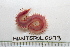  ( - HUNTSPOL0073)  @13 [ ] CreativeCommons - Attribution (2010) Unspecified Centre for Biodiversity Genomics