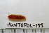  ( - HUNTSPOL0155)  @13 [ ] CreativeCommons - Attribution (2010) Unspecified Centre for Biodiversity Genomics
