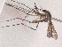  ( - Chu_Ocexc_02)  @13 [ ] Unspecified (default): All Rights Reserved  Unspecified Unspecified
