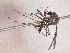  ( - Chu_Ocexc_03)  @13 [ ] Unspecified (default): All Rights Reserved  Unspecified Unspecified