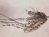  ( - Chu_Ocpio_02)  @12 [ ] Unspecified (default): All Rights Reserved  Unspecified Unspecified