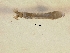  ( - Goo_Stdip_03)  @11 [ ] Unspecified (default): All Rights Reserved  Unspecified Unspecified