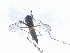  ( - Pgtest_Chu_01)  @12 [ ] Unspecified (default): All Rights Reserved  Unspecified Unspecified