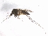  ( - Pgtest_Chu_02)  @13 [ ] Unspecified (default): All Rights Reserved  Unspecified Unspecified