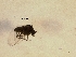  ( - Sch_Mespp_01)  @12 [ ] Unspecified (default): All Rights Reserved  Unspecified Unspecified