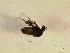  ( - Sch_Mespp_02)  @12 [ ] Unspecified (default): All Rights Reserved  Unspecified Unspecified