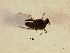  ( - Sch_Mespp_03)  @12 [ ] Unspecified (default): All Rights Reserved  Unspecified Unspecified