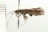  ( - 08NBEPT-1283)  @13 [ ] CreativeCommons - Attribution (2008) Unspecified Centre for Biodiversity Genomics