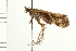  ( - 08NBEPT-1285)  @13 [ ] CreativeCommons - Attribution (2008) Unspecified Centre for Biodiversity Genomics