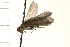  ( - 08NBEPT-1456)  @13 [ ] CreativeCommons - Attribution (2008) Unspecified Centre for Biodiversity Genomics