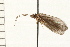 ( - 08NBEPT-1547)  @13 [ ] CreativeCommons - Attribution (2008) Unspecified Centre for Biodiversity Genomics