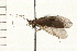  ( - 08NBEPT-1548)  @13 [ ] CreativeCommons - Attribution (2008) Unspecified Centre for Biodiversity Genomics