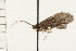  ( - 08NBEPT-1549)  @13 [ ] CreativeCommons - Attribution (2008) Unspecified Centre for Biodiversity Genomics
