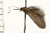  ( - 08NBEPT-1550)  @13 [ ] CreativeCommons - Attribution (2008) Unspecified Centre for Biodiversity Genomics
