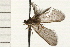 ( - 08NBEPT-1551)  @13 [ ] CreativeCommons - Attribution (2008) Unspecified Centre for Biodiversity Genomics