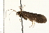  ( - 08NBEPT-1612)  @13 [ ] CreativeCommons - Attribution (2008) Unspecified Centre for Biodiversity Genomics