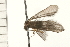  ( - 08NBEPT-1650)  @13 [ ] CreativeCommons - Attribution (2008) Unspecified Centre for Biodiversity Genomics