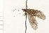  ( - 08NBEPT-1653)  @13 [ ] CreativeCommons - Attribution (2008) Unspecified Centre for Biodiversity Genomics