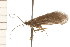  ( - 08NBEPT-1204)  @13 [ ] CreativeCommons - Attribution (2008) Unspecified Centre for Biodiversity Genomics