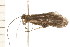  ( - 08NBEPT-1206)  @13 [ ] CreativeCommons - Attribution (2008) Unspecified Centre for Biodiversity Genomics