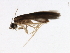  ( - 08NBEPT-1857)  @13 [ ] CreativeCommons - Attribution (2009) Unspecified Centre for Biodiversity Genomics