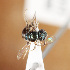  ( - ASUHIC0113368)  @11 [ ] by-nc-sa (2021) Jason Gibbs University of Manitoba