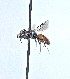  ( - JBWM0426450.2)  @11 [ ] by (2025) Jason Gibbs University of Manitoba
