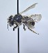  ( - WRME.MFK.23612)  @11 [ ] by (2025) Jason Gibbs University of Manitoba