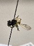  ( - WRME0507581)  @11 [ ] by (2025) Jason Gibbs University of Manitoba