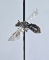  ( - WRME0519594)  @11 [ ] by (2025) Jason Gibbs University of Manitoba