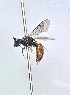  ( - WRME_EJH10061)  @11 [ ] by (2025) Jason Gibbs University of Manitoba