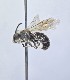  ( - WRME_JG00145)  @11 [ ] by (2025) Jason Gibbs University of Manitoba