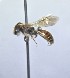  ( - WRME_JG00147)  @11 [ ] by (2025) Jason Gibbs University of Manitoba