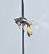  ( - WRME_JG00695)  @11 [ ] by (2025) Jason Gibbs University of Manitoba