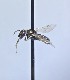  ( - WRME_JG00775)  @11 [ ] by (2025) Jason Gibbs University of Manitoba