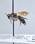  ( - WRME_WMA02416)  @11 [ ] by (2025) Jason Gibbs University of Manitoba