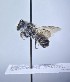  ( - WRME_WMA05100)  @11 [ ] by (2025) Jason Gibbs University of Manitoba